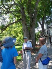Glastonbury's Ed Richardson Keeps Tabs of 'Notable Trees'